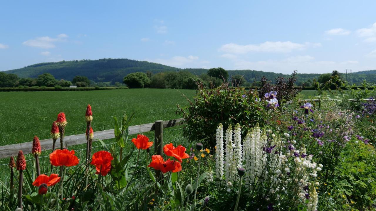 Country Cottage With Far Reaching Views Presteigne 외부 사진